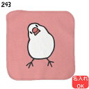 文鳥 ハンドタオル タオルハンカチ かしげる文鳥 カラー ハンカチ 名入れ 記念品 アニバーサリー 入学祝い 還暦 卒業祝 誕生日 クリスマス 小鳥 鳥 鳥好き...