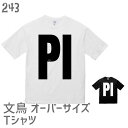 文鳥 ビッグシルエット Tシャツ PI 243 小鳥 鳥 鳥好き 雑貨 オーバーサイズ ビッグサイズ 文鳥 セキセイインコ オカメインコ コザクラインコ マメルリハ フィンチ シマエナガ ハシビロコウ