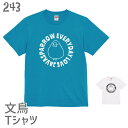 文鳥 Tシャツ エブリデイおもち 243 文鳥 小鳥 鳥 鳥好き 雑貨 オーバーサイズ ビッグサイズ かわいい グッズ プレゼント ギフト 白 桜 シルバー シナモン クリーム おもしろい 大きいサイズ ビッグT メール便 癒やし