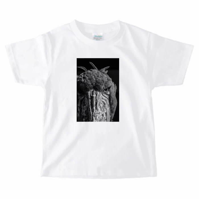 キッズ ベビー ハシビロコウ Tシャツ ハシビロコウフォトT 243 子供服 ベビー 小鳥 鳥 鳥好き 雑貨 文鳥 セキセイインコ オカメインコ マメルリハ コザクラインコ シマエナガ ハシビロコウ フィンチ インコ