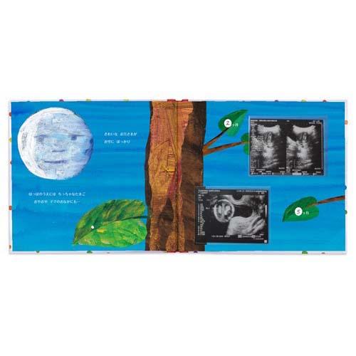 ベビー絵本 アルバム絵本 はらぺこあおむし 手つくり絵本しかけ絵本 出産祝い 絵本 赤ちゃん ベビー あかちゃんのうまれたとき ギフト 3