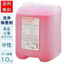 中性 洗浄除菌剤 アオバクリーンN 10kg 青葉化成 業務用 洗剤 試験データあり 食中毒対策 大腸菌 黄色ブドウ球菌 乳酸菌 酵母 食品工場 飲食店 調理場...