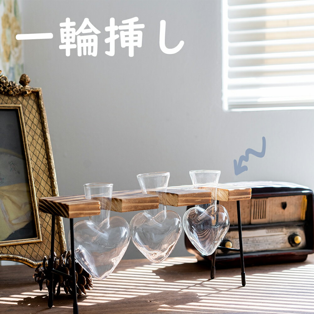 Hyindoor 水耕栽培花瓶 一輪挿し 卓上花瓶 ハート型ガラス花瓶 透明 植物栽培容器 部屋飾り 花器 フラワーベース 木製スタンド オシャレ ガラス 花瓶 ヒヤシンス ムスカリ サボテン ハイドロカルチャ 一流職人がこっそり教えてくれるムスカリの真実