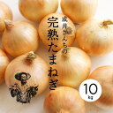 【送料無料】【産地直送】成井さんちの完熟たまねぎ 10kg【淡路島】