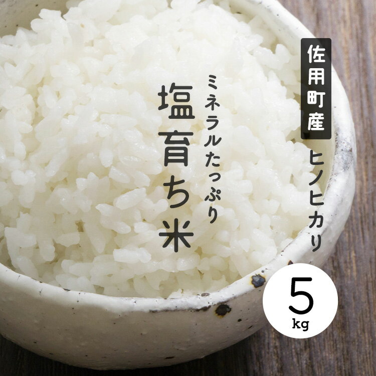 【本島送料無料】佐用町産 ヒノヒカリ 塩育ち米〈5kg〉【西播磨ふるさと特産館「好きやde西播磨」】【産地直送】