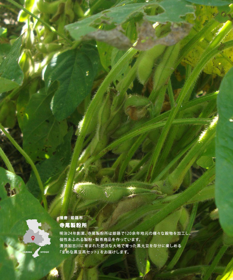 4msqnbfzdo92cm