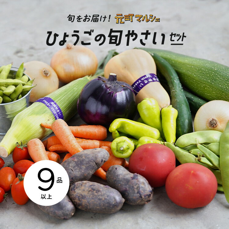 ひょうごの旬野菜セット〈大〉［9