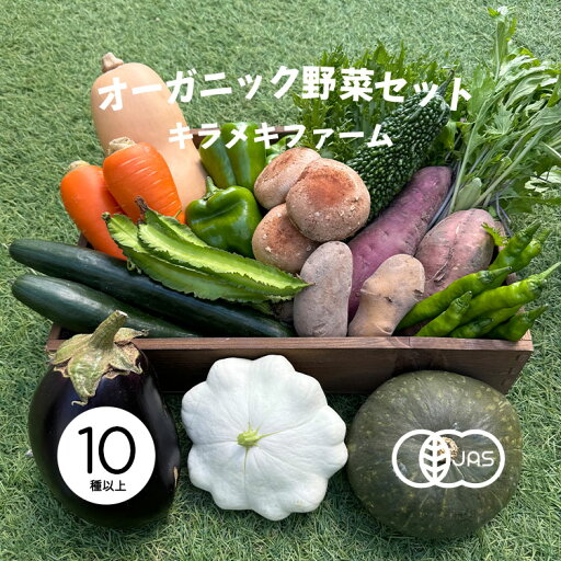 【産地直送】やさいのキラメキスペシャル【オーガニック野菜セット大 10~13種】〈クール冷蔵便〉【キラメキファーム】【産地直送】 【産地直送】やさいのキラメキスペシャル【オーガニック野菜セット大 10~13種】〈クール冷蔵便〉【キラメキファーム】【産地直送】