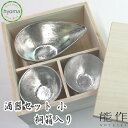 【送料無料】能作 酒器セット 桐箱入り 片口 小 ぐい呑み 2個 お祝い事 父の日 お祝い 結婚祝い 誕生日 記念日に 本錫100% のうさくぐいのみ おちょこ