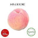 お供え果実 桃 御供物 果物 フルーツ 本物そっくり 仏具 仏壇