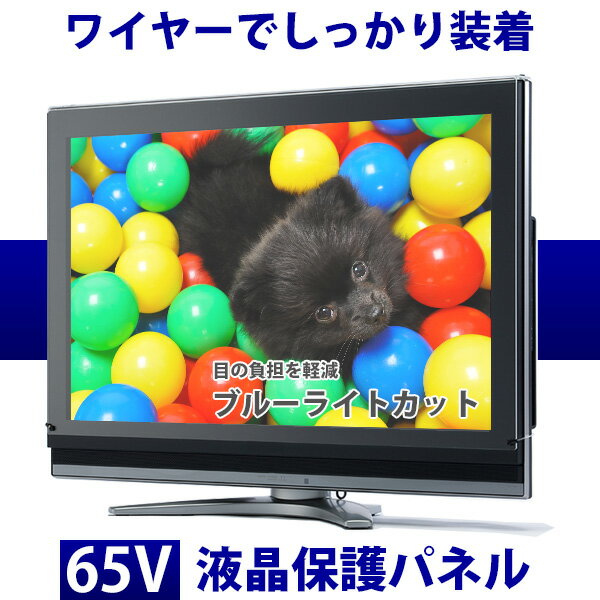 液晶テレビ保護パネル 65型 フラット式 【ブルーライトカット】●65インチ 液晶保護パネル 65V 液晶保護カバー プラズマテレビ・3Dテレビ 頑丈 ワイヤー 傷 防止 安全【返品不可】※こちらの商品はテレビではございません