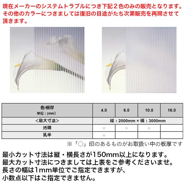ツインカーボ オーダー●オーダーカット 切り板 透明 クリア 白 黒  ポリカーボネート プラスチック 板 中空ポリカ プラスチック板 中空ポリカーボネイト ポリカ波板 波板 ポリカ ※サイズとカラーにより金額が変わります（国産）【メーカー直送品】【個人様宛の配送不可】