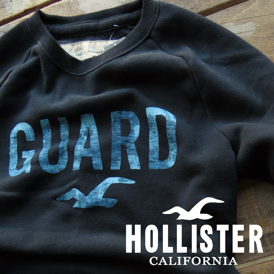 ホリスター トレーナー メンズ セーター 正規品 グラフィックプリント メンズファッション トップス ...