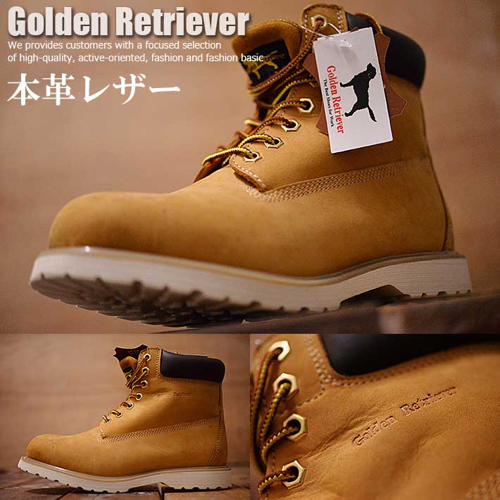 ʤ» ܳ 쥶 Golden Retriever 6 ֡ 硼ȥ֡ ֡ ֡  3706 ץ쥼 եȡפ򸫤