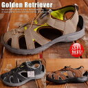 最安値に挑戦 送料無料 Golden Retriever サ...