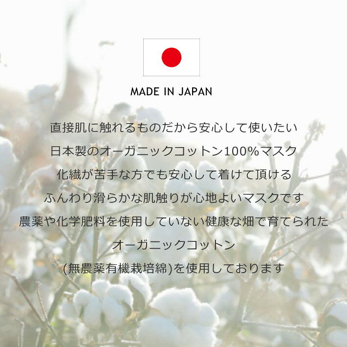 マスク 日本製 送料無料 オーガニック コットンマスク 100％ 綿 洗えるマスク エコマスク MADE IN JAPAN 在庫有り ウイルス対策 大人用 子供用 NEK 7990394 オフホワイト プレゼント ギフト hype-10054516 HYPE サンプル画像2
