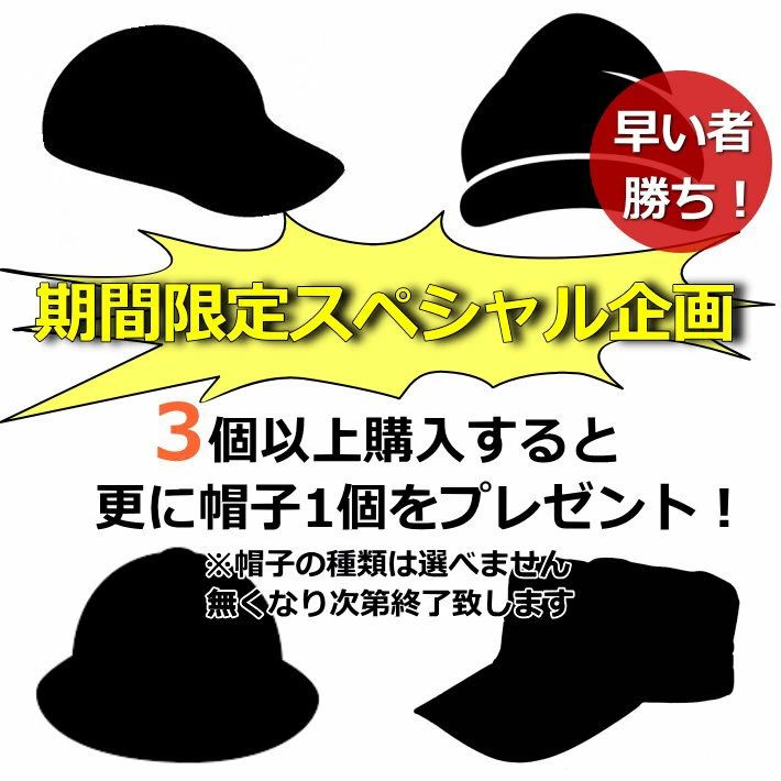 帽子 メンズ AVIREX アビレックス 送料無料 キャップ 父の日 プレゼント 贈り物 ニットキャップ メッシュキャップ 大きいサイズ レディース ディッキーズ ローキャップ ワークキャップ ハット ハンチング おしゃれ ロゴ 刺繍 プリント アメカジ HYPE 通販 yos ギフト