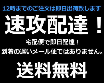 【速攻配達 送料無料】体温計 オムロン 送料無料 けんおんくん OMRON 電子体温計 わき 口中用 ワキ下 収納ケース付き 在庫あり MC-170 (非接触 体温計ではありません)