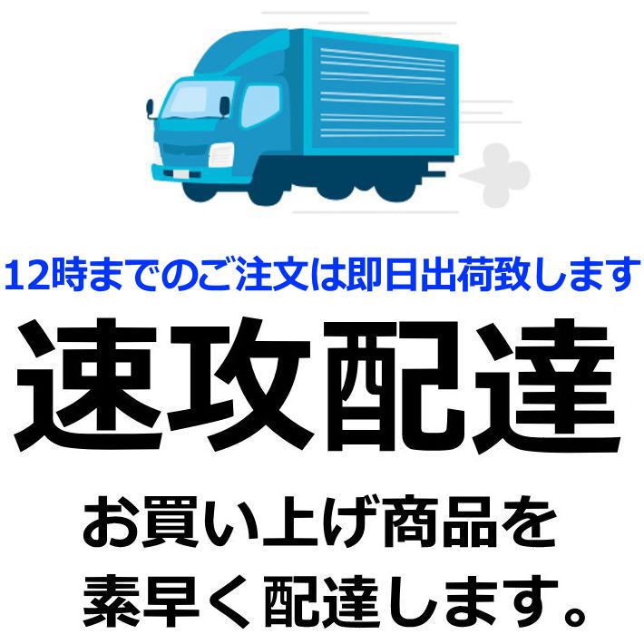 訳あり ニトリル手袋 100枚 パウダーフリー パウダーなし ニトリル ゴム手袋 使い捨て S/M/L ブラック 黒 クロ 青 ブルー 左右兼用 粉なし アウトレット 7990410 プレゼント ギフト