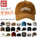【とにかくデカい!】 大きいサイズ キャップ 送料無料 大きめ ビッグサイズ ★REV 7987345 BIG SIZE 帽子 ハット キャップ キャスケット ...