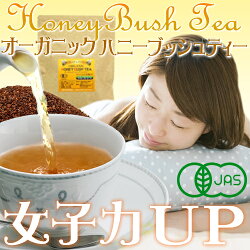 オーガニック・ハニーブッシュティー