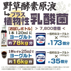 酵素原料お試し乳酸菌