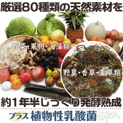 果穀草菜・和漢植物・乳酸菌