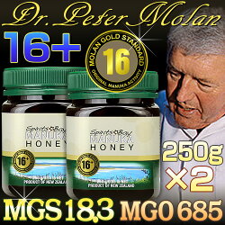 MGSマヌカハニー16+(250g×2)