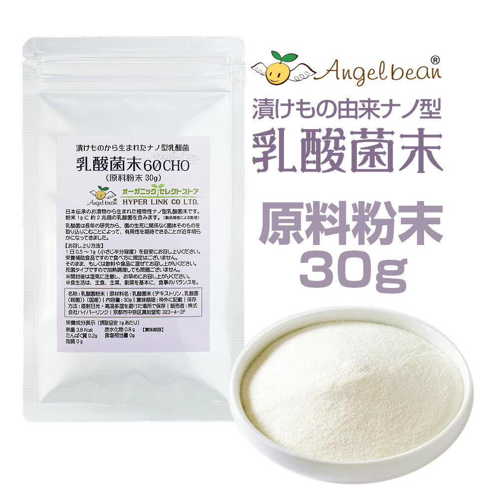 乳酸菌 原末100% 原料 国産 植物性 ナノ型 粉末｜パウダー 30g（約1～2ヶ月分）