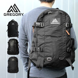 リュック メンズ（10000円程度） GREGORY グレゴリー ALL DAY V2.1 オールデイV2.1リュック リュックサック バックパック メンズ レディース B4 24L 131365プレゼント ギフト 通勤 通学 送料無料 bgsin 母の日