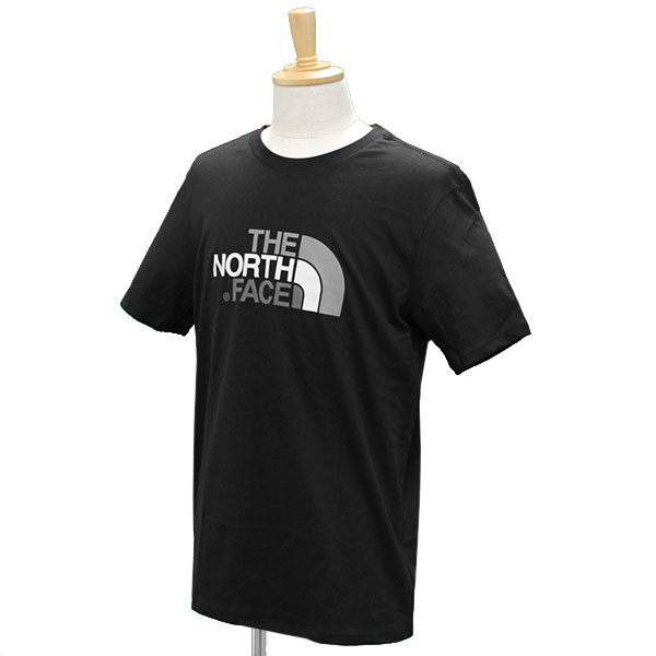 THE NORTH FACE ザ ノースフェイス EASY TEE イージー ティーTシャツ カットソー 半袖 ロゴ プリント メンズプレゼント ギフト 通勤 通学