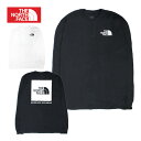 THE NORTH FACE ザ ノースフェイス M L/S BOX NSE TEE ロングスリーブボックスT SE TEE Tシャツ ボックスロゴNF0A81...