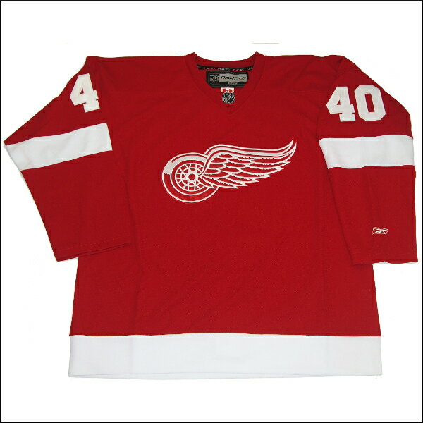 DETROIT RED WINGS (デトロイトレッドウィング) replica アイスホッケーシャツ #40hockey jerseyアイスホッケー　ゲームシャツ 大きいサイズメンズ　メンズ大きいTシャツ　ヒップホップ衣装　ダンス　衣装　ジャージ