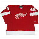 DETROIT RED WINGS (デトロイトレッドウィング) replica アイスホッケーシャツ 40【ZETTERBERG】hockey jerseyアイスホッケー ゲームシャツ 大きいサイズメンズ メンズ大きいTシャツ ヒップホップ衣装 ダンス 衣装 ジャージ