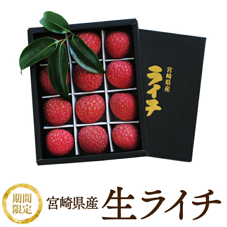 【送料無料】宮崎県産　生ライチ　厳選大粒12個入　予約受付開始のサムネイル