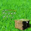 【普通便】芝生プレシャスグリーン改良高麗芝 　2平米　2束/1箱