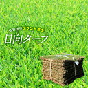 【普通便】天然芝　芝生　日向ターフ 改良野芝　宮崎県産　10平米　10束/5箱