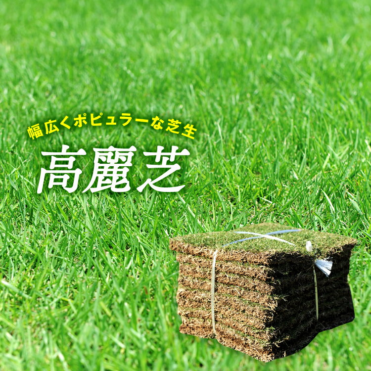 【普通便】芝生　天然芝　高麗芝　宮崎県産　10平米　10束/5箱