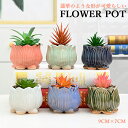 【vase238】植木鉢 プランター 多肉植物 多肉ポット 盆栽鉢植え 植木鉢 花瓶 花台 インテリア置物 フラワーポット 母の日