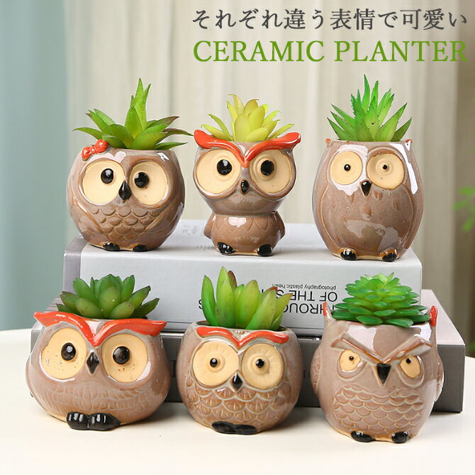 楽天市場】ふくろう 植木鉢(植木鉢・プランター|ガーデニング 楽天市場】ふくろう 植木鉢(植木鉢・プランター|ガーデニング