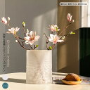 【vase494】ガラス花瓶 水耕 丸型 月型 フラワーベース 装飾花瓶 装飾 ホームギフト 北欧モダン モデルルーム 北欧モダン 母の日