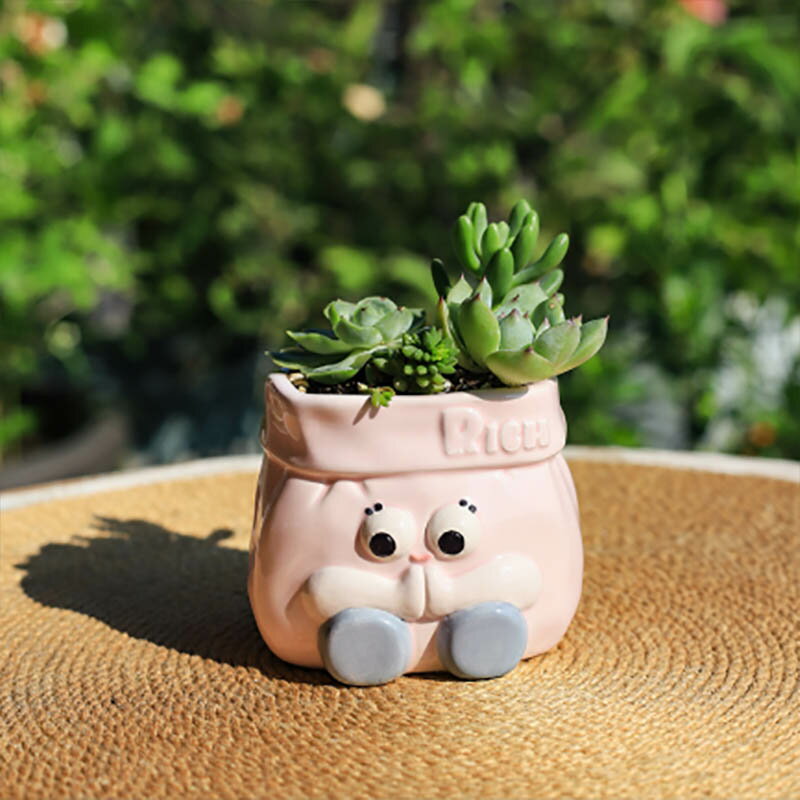 【vase515】ミニプランター 多肉植物 多...の紹介画像3