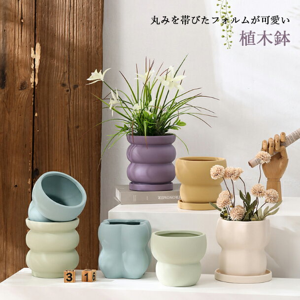 【vase197】【3点以上購入時 1点当たり100円引き】植木鉢 受け皿付き カラフルプランター 多肉植物 多肉ポット 盆栽鉢植え 植木鉢 インテリア置物 シンプル サボテン鉢 観葉植物 可愛い ぷくぷく鉢