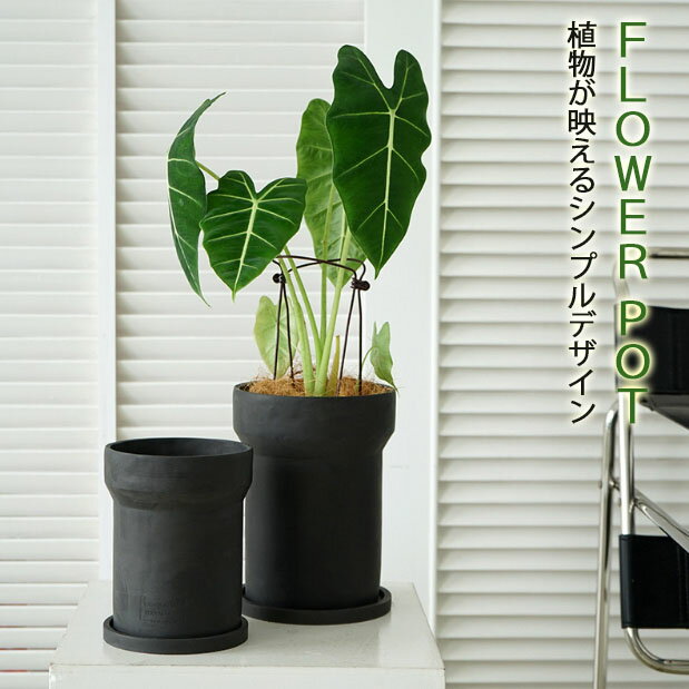 【vase411】受け皿付き 植木鉢 シンプル プランター 多肉植物 多肉ポット 盆栽鉢植え 植木鉢 インテリア置物 韓国インテリア シンプル サボテン鉢 円形 おしゃれ鉢