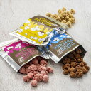 【レビュー300円割引特典】チョコレートショップ 福岡限定 プレミアム ポップコーン チョコレート キャラメル ストロベリー Chocolate Shop 博多 限定 芸能人御用達 SNS映え 高級スイーツ ギフト 話題 差し入れ 限定 お土産 送料無料 明治 チョコレート 効果 ゆうパケット