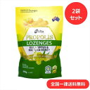 【レビュー200円割引特典】【2袋セ