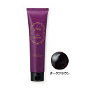 セルフューチャー ヘアマニキュア 150g(ショートヘアで約3回分) 白髪染め