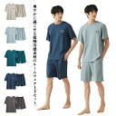 ルームウェア パジャマ メンズ 接触冷感 ストレッチ 上下セット Tシャツ ハーフパンツ 部屋着 ルームウエア 薄手 涼感 寝間着 寝巻き 吸汗速乾 ジャージ 大人 春夏 男性 無地 ブルー グリーン グレー 送料無料