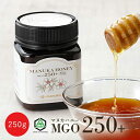 【岩谷産業公式 除草剤検査済み 送料無料】マヌカハニー250 MGO250 250g 岩谷産業 Manukalife マヌカライフ マヌカハニー オーストラリア マヌカはちみつ はちみつ ハチミツ 非加熱 イワタニ ギフト マヌカ ハニー 天然はちみつ 蜂蜜