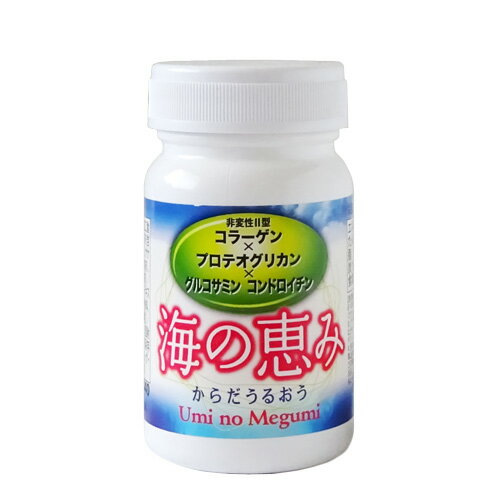 【送料は当社負担】eggjoy 海の恵み 28.8g（320mg×90粒） プロテオグリカン 非変性2型コラーゲン グルコサミン コンドロイチン 魚軟骨から抽出 サプリメント 日本製